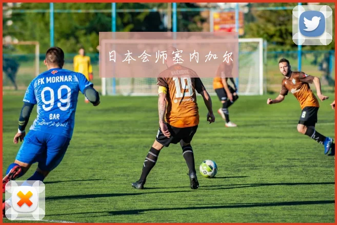 日本会师塞内加尔