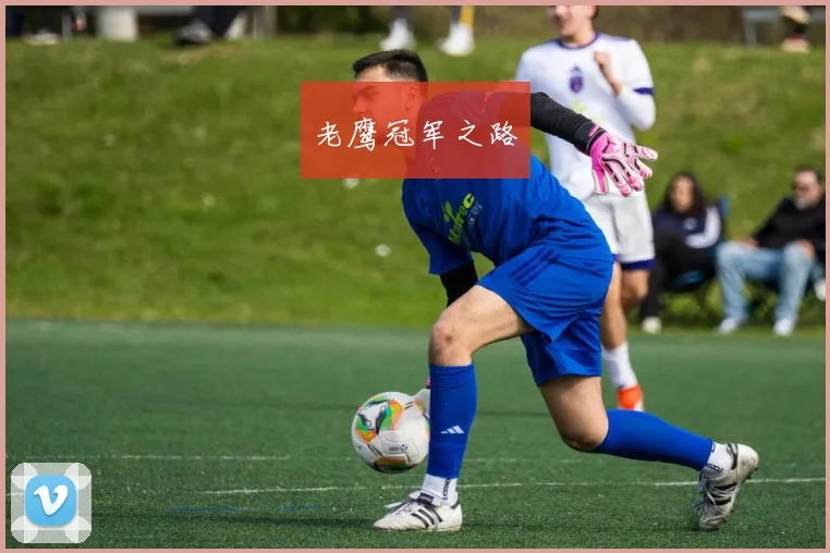 老鹰冠军之路