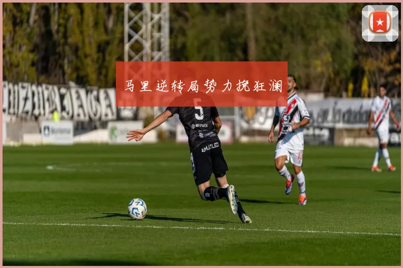 马里逆转局势力挽狂澜