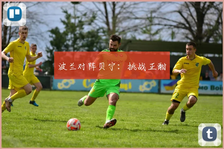 波兰对阵贝宁：挑战正酣