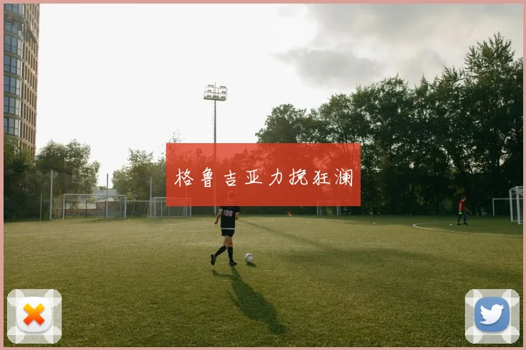 格鲁吉亚力挽狂澜