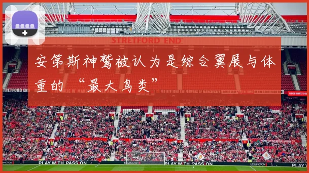 安第斯神鹫被认为是综合翼展与体重的 “最大鸟类”