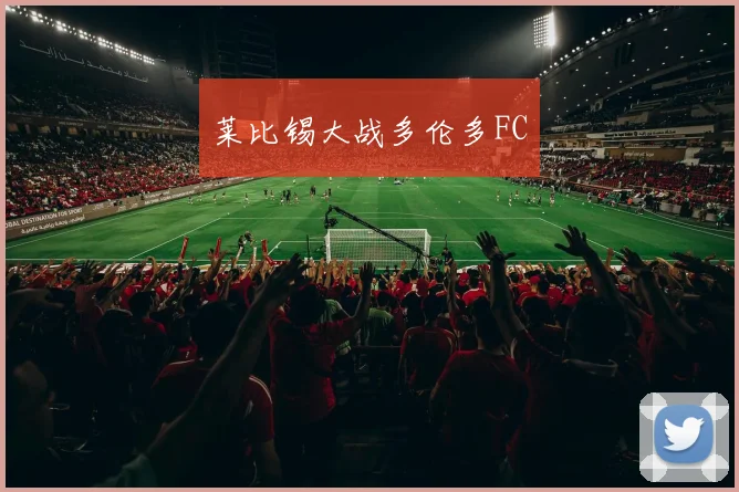 莱比锡大战多伦多FC