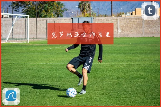 克罗地亚会师马里