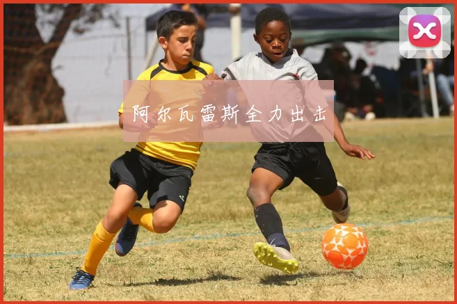阿尔瓦雷斯全力出击