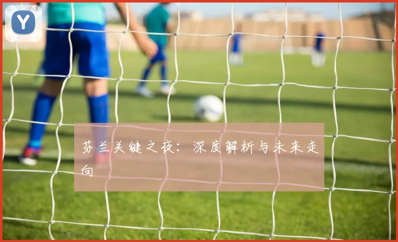 芬兰关键之夜：深度解析与未来走向