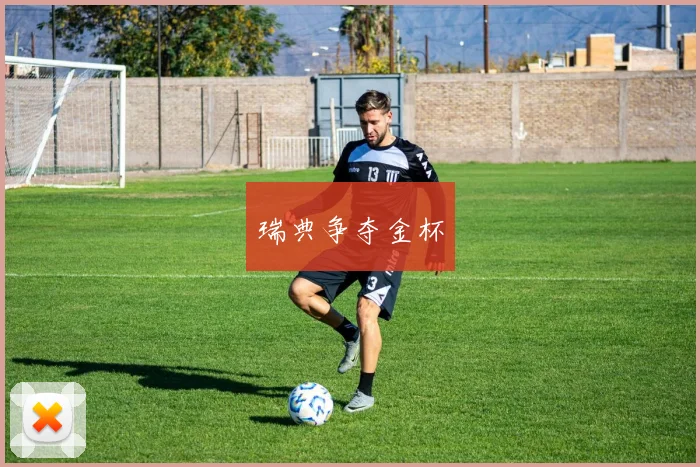 瑞典争夺金杯