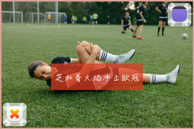 芝加哥火焰冲击欧冠