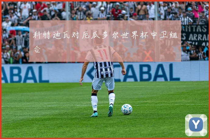 科特迪瓦对厄瓜多尔世界杯中卫组合