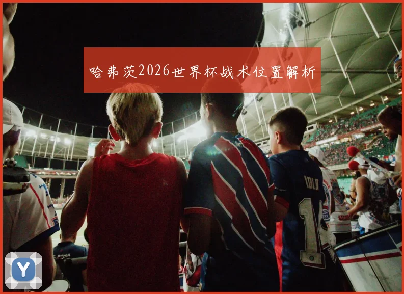 哈弗茨2026世界杯战术位置解析