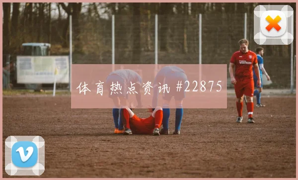 里昂vs特鲁瓦中锋对决