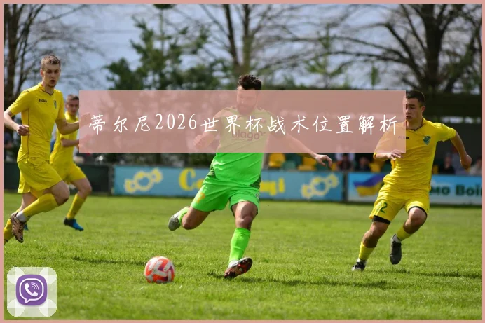 蒂尔尼2026世界杯战术位置解析