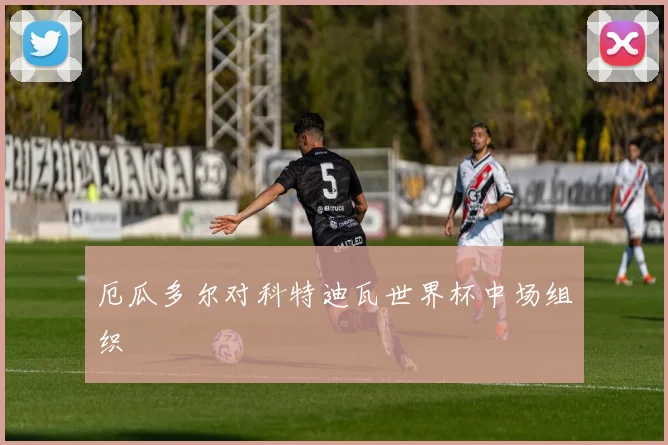 厄瓜多尔对科特迪瓦世界杯中场组织