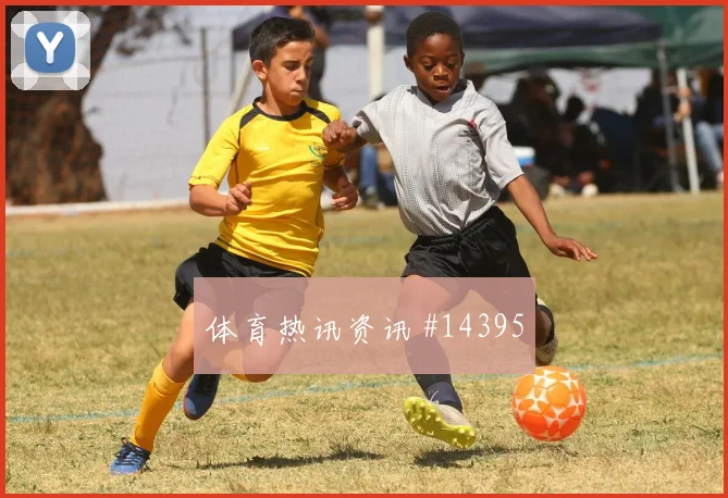 2026世界杯加纳vs克罗地亚气候影响